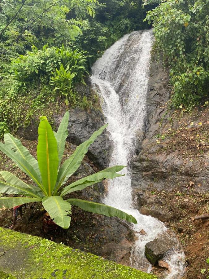 Earth Lounge Resort Vagamon Exteriör bild
